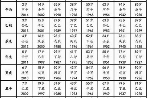 1996生肖|1996出生属什么生肖查询，1996多大年龄，1996今年几岁